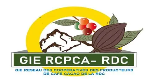 RCPCA-RDC